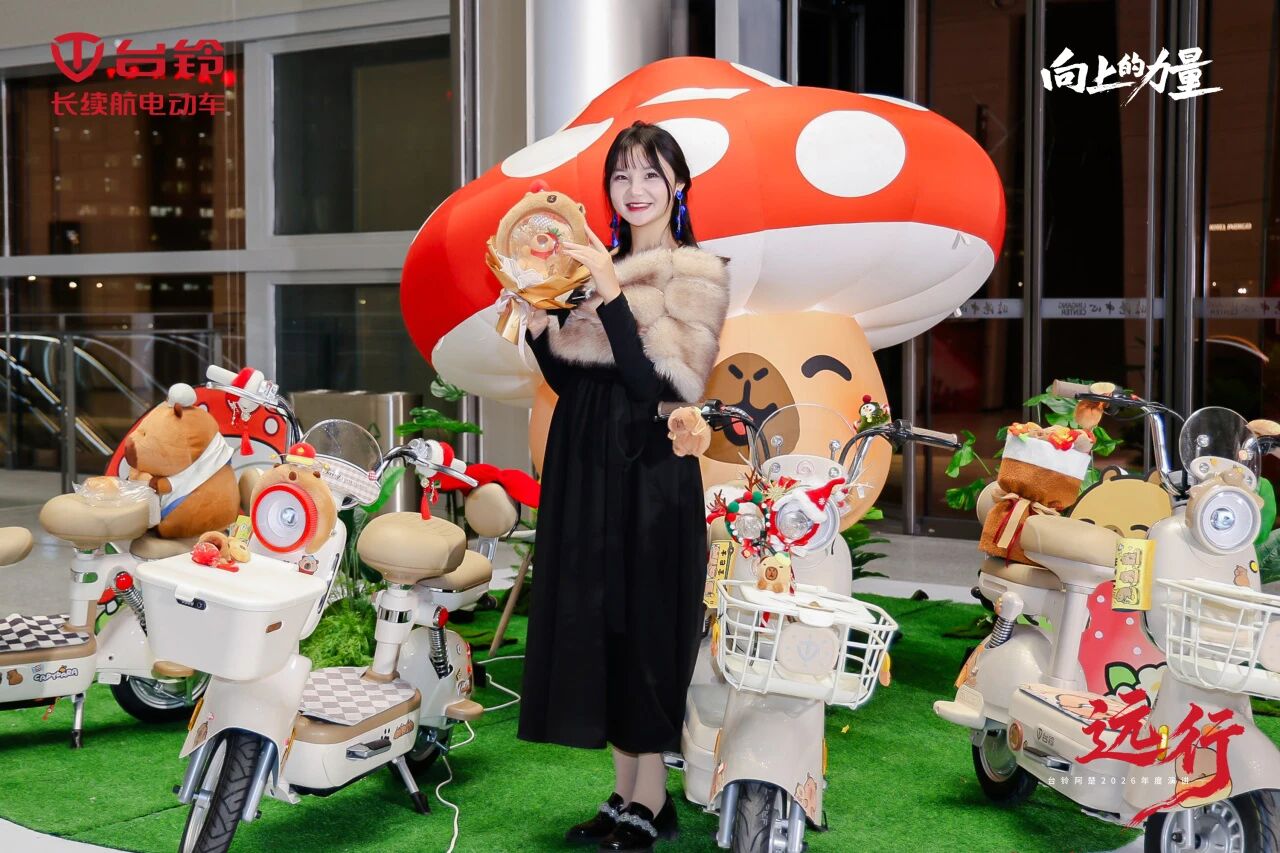 台铃6.jpg 台铃6.jpg