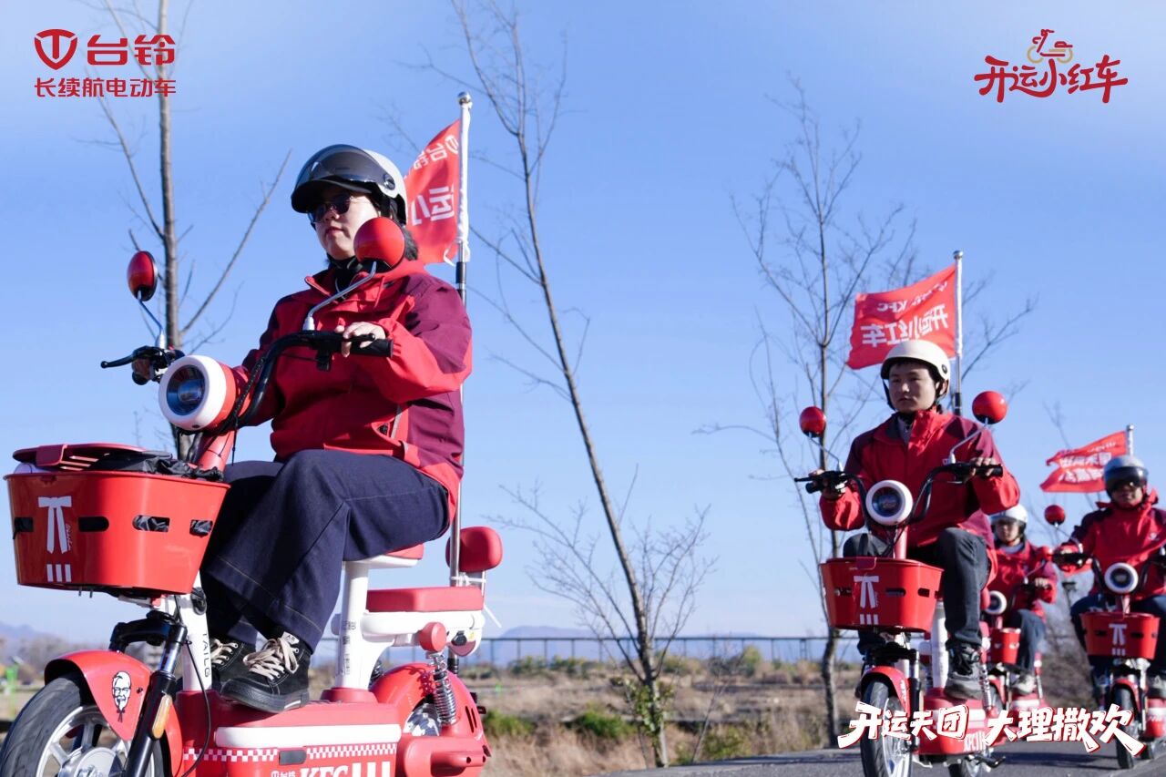 台铃3.jpg 台铃3.jpg